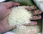 Chi nghìn tỷ tạm trữ lúa gạo, nông dân thêm khổ?